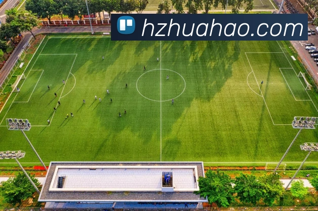 乐鱼网页版平台生态图